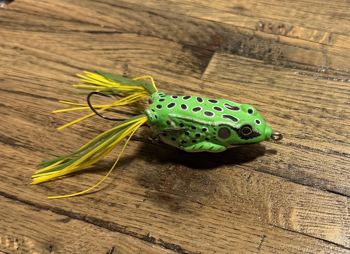 Hollow-body frog used for fishing lily pads and heavy vegetation
