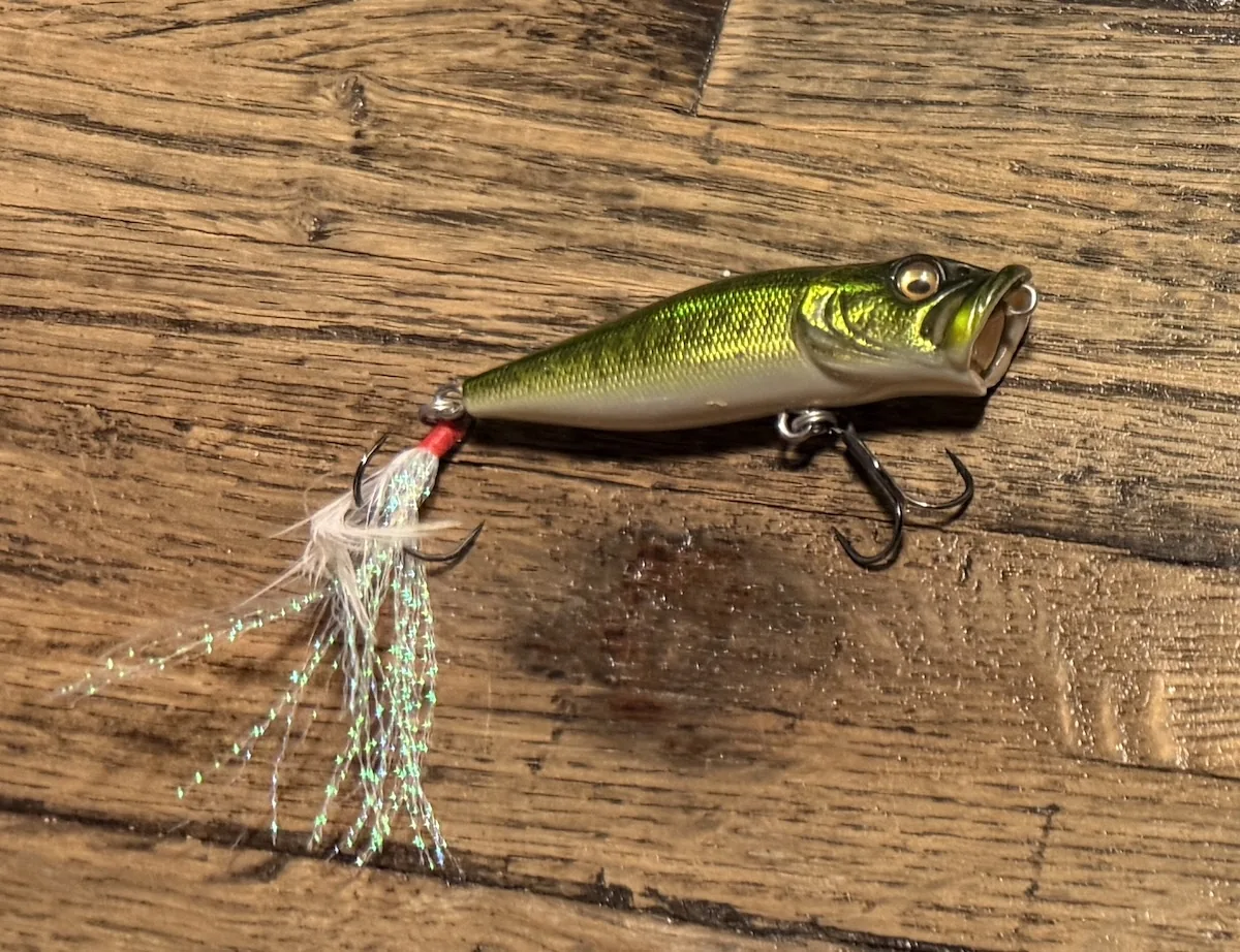 Megabass PopX topwater bait in the GG Bass color pattern
