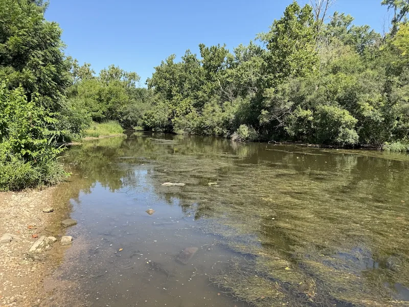 The mouth of Ferson Creek beside the park