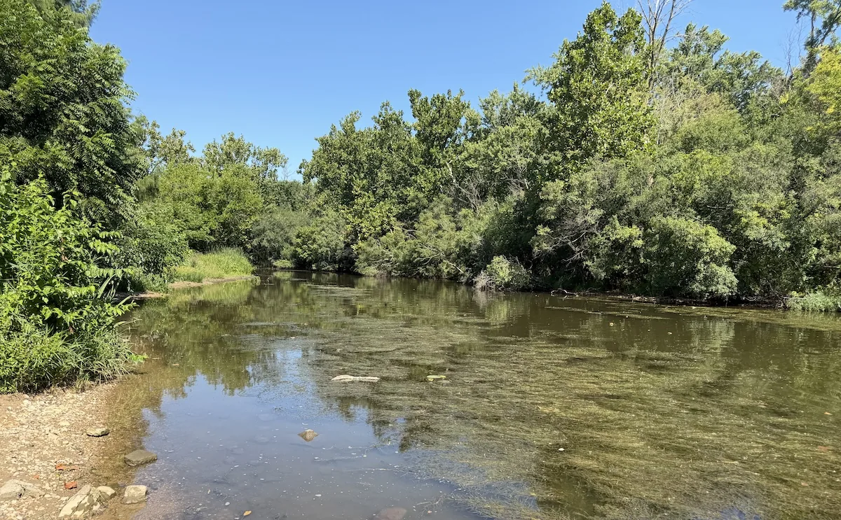 Ferson Creek shoreline near St. Charles, Illinois