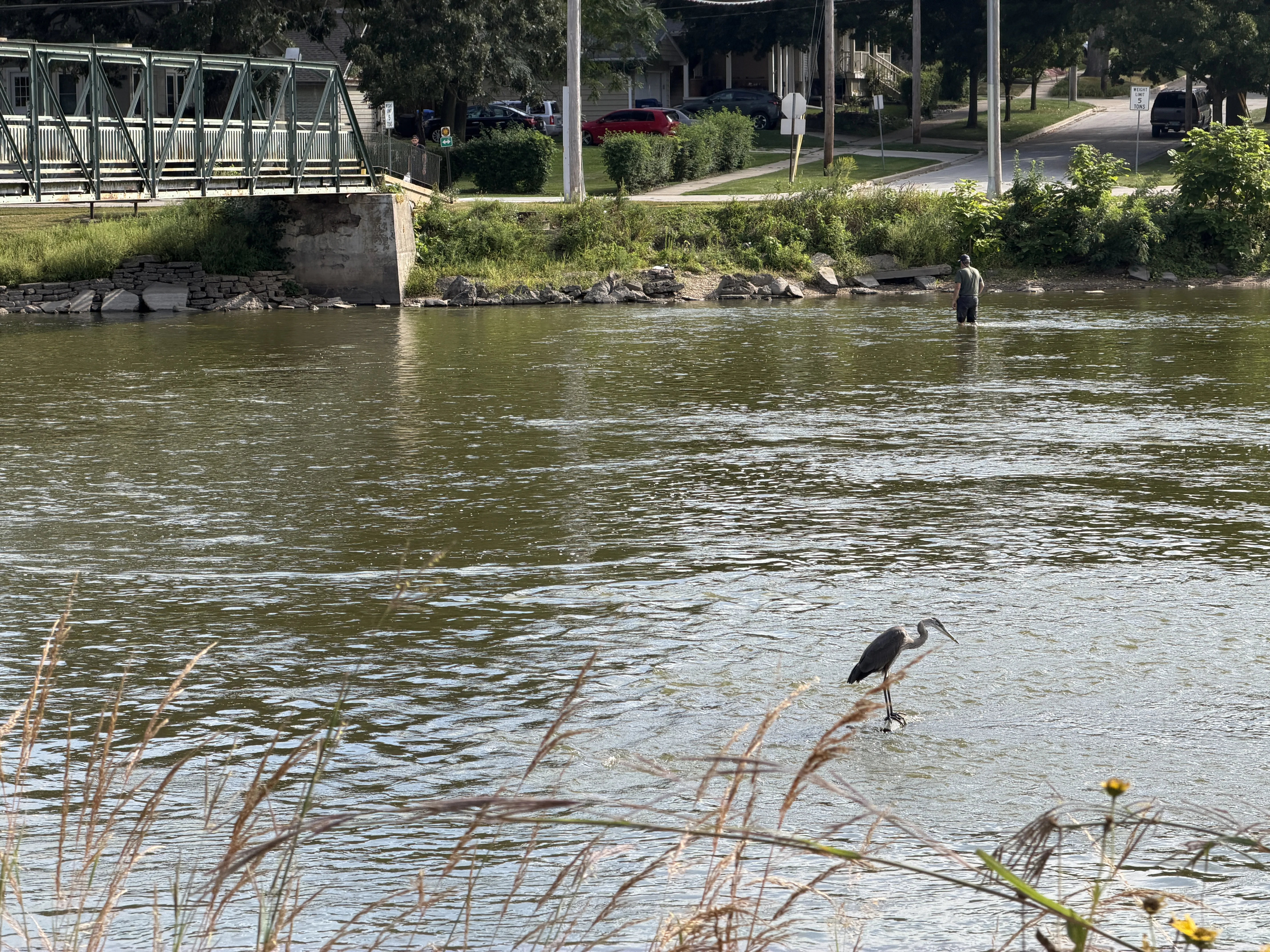 Angler wading near a rocky Fox River bank with visible current
